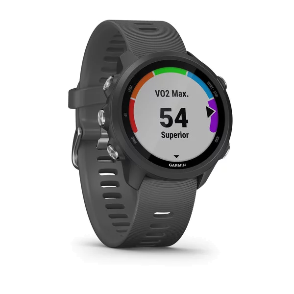 garmin 245 slate