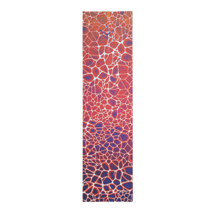 Envy Neuron Griptape 