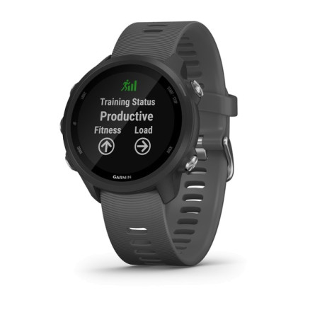 Garmin Forerunner 245 GPS Running Smartwatch (Slate Gray)