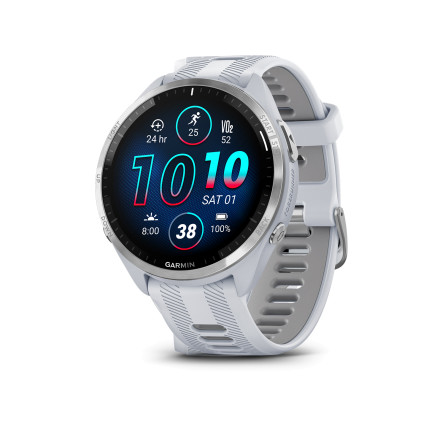 Garmin Forerunner 965 - Whitestone/Powder Gray