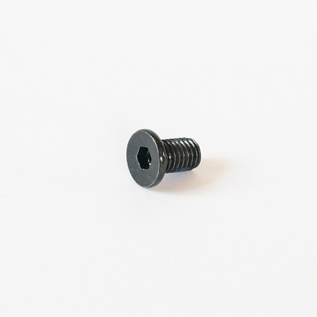 Envy Brake Bolt