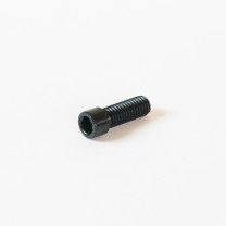 Envy M8 20mm Clamp Bolt